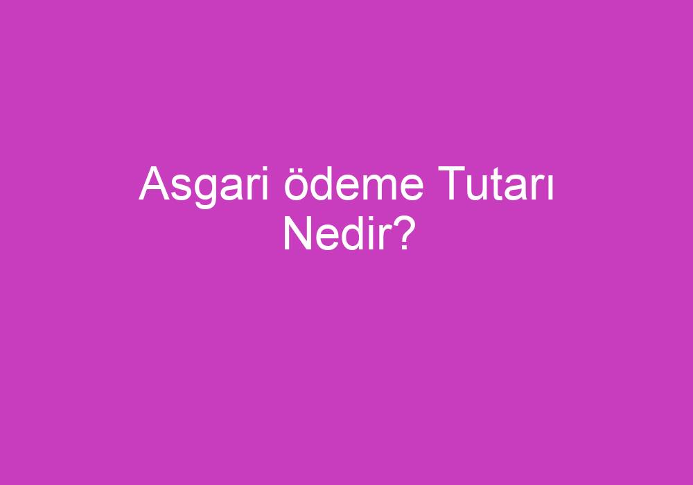 Asgari Ödeme Tutarı Nedir?