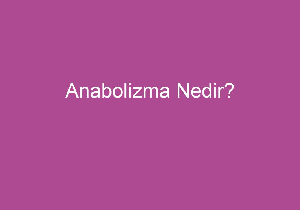 Anabolizma Nedir?