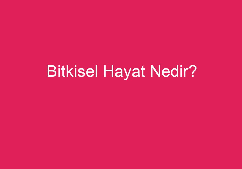 Bitkisel Hayat Nedir?