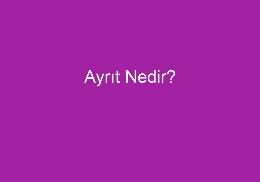 Ayrıt Nedir?