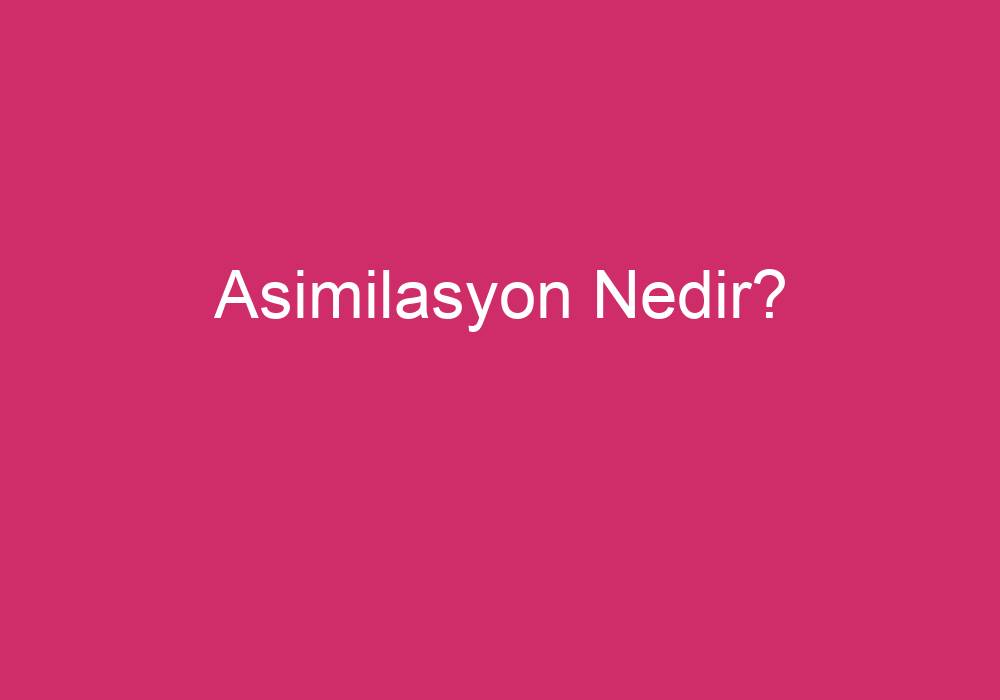 Asimilasyon Nedir?