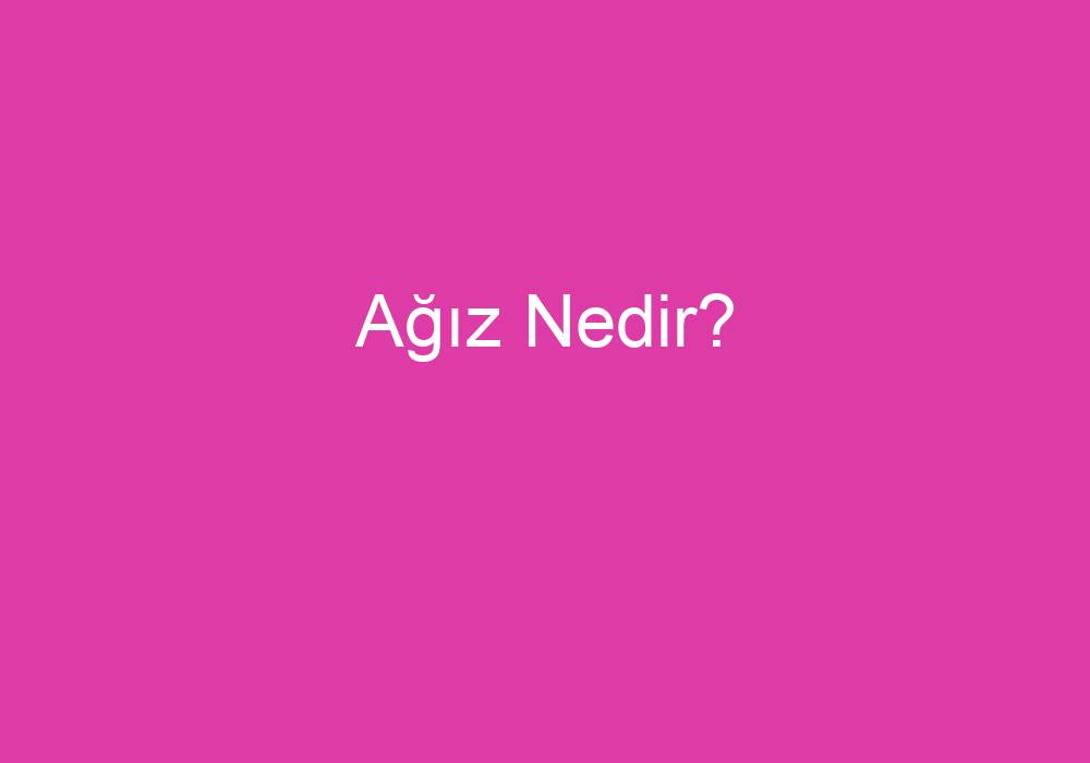 Ağız Nedir?